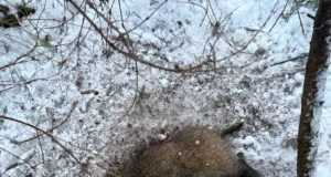 Seakatk laienes Raplamaale