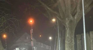 Pärnu linnas nähti taliuinakust ärganud karu liikumas (täiendatud kell 16.05)