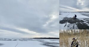 Piirivalvurid päästsid Peipsi järvel hätta sattunud metskitse