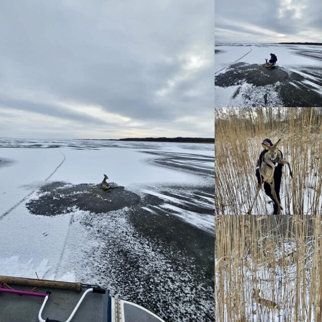 kits lõuna prefektuur