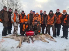 Pärnjõel tabati kaks hunti