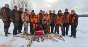 Pärnjõel tabati kaks hunti