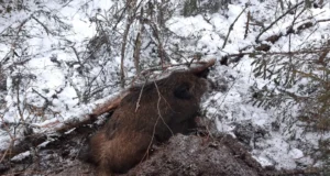 Seakatk jõudis Põltsamaa jahipiirkonda