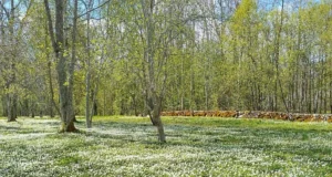 Keskkonnateadlikkus aitab rikkumisi vähendada