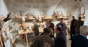 Kuressaare piiskopilossis avati trofeenäitus