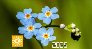 Avastamisrõõmu ja harivaid tegevusi pakkuv loodusloovusfestival toimub sel nädalal