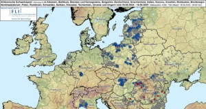 Võrumaal tuvastati avariis surnud metsseal seakatk
