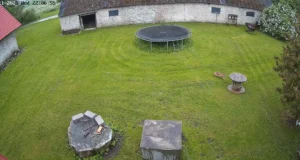 VIDEO: Jõelähtme vallas jäi kaamerasse ilvese ja kassi kokkupuude