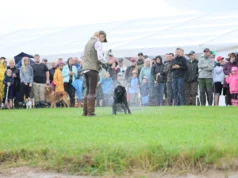 GALERII: Jahimeeste kokkutulek tõi kokku tuhandeid osalejaid ja pakkus elamusi igale maitsele