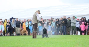 GALERII: Jahimeeste kokkutulek tõi kokku tuhandeid osalejaid ja pakkus elamusi igale maitsele