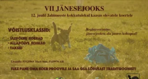 Koerad saavad taas võisteleda jänesejooksus