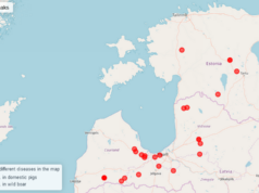 Seakatk on pead tõstmas nii Eestis kui välismaal
